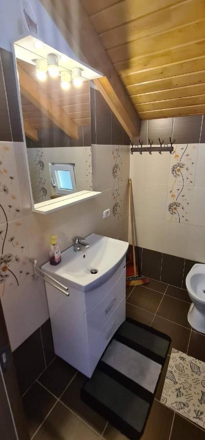 Ferienwohnung Casuta Pietrosul Rodnei Borşa Exterior foto